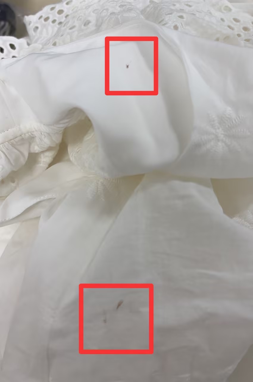 6f7d0fc0-6ad3-41d8-9ccf-1f5fd5a011dc.jpg